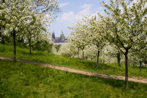 Petrinberg
