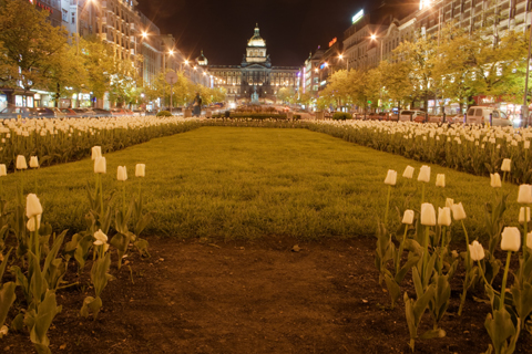 Wenzelplatz